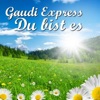 Du bist es - Single