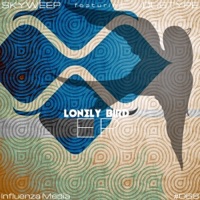 Lonely Bird - EP - Skyweep & Dubtype