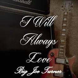 I Will Always Love Big Joe Turner, Vol. 5 - Big Joe Turner