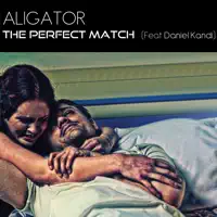 The Perfect Match (Stavnstrup &amp; Sieber Remix)