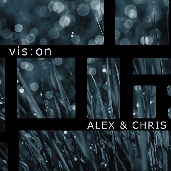 Vision
