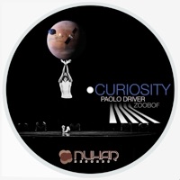 Curiosity - Single - Paolo Driver & Zoobof