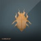 Spark - Ray Kajioka lyrics