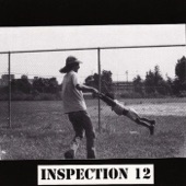 Inspection 12 artwork