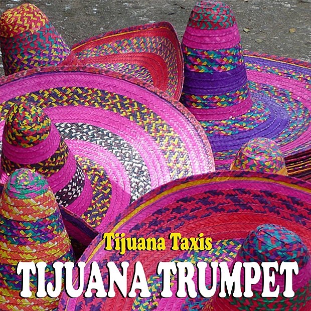 Tijuana Taxi