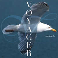 Voyager - Michael E