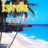 La Playa del Sol (Extended Mix) artwork