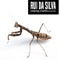 Coming Back Into Focus - Rui Da Silva lyrics