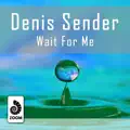 Wait for Me [feat. Irina Makosh]