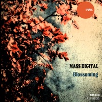 Blossoming - Single - Mass Digital