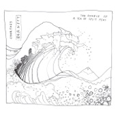 Courtney Barnett - Are You Looking After Yourself ?