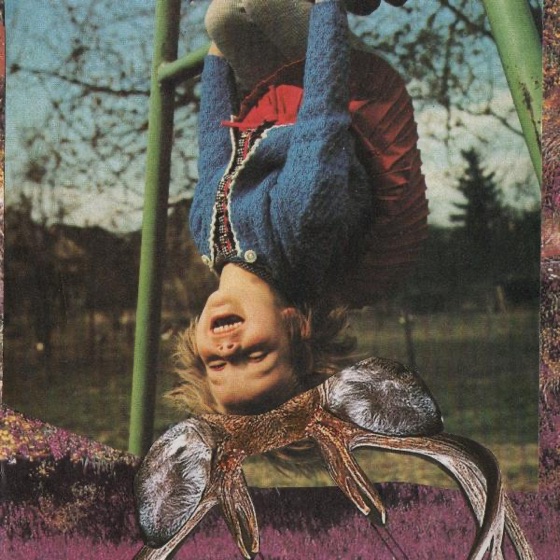 Cover artwork for Pets