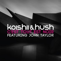 C'est Tout Est Noir (feat. John Taylor) - Single - Koishii & Hush