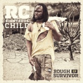 Rough Survivor artwork