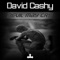 Devil May Cry (I.Nova Remix) - David Cashy lyrics