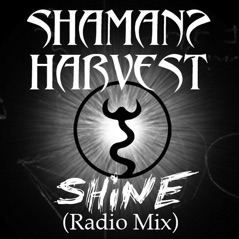 Shine (Radio Mix) - Single