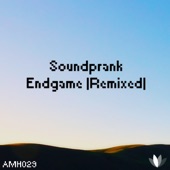 Endgame (Stefan Anions 'Fallout' Remix) artwork