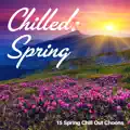 One Bright Night (Instrumental Mix)