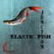 Junction (Crystalline Climax Aetheric Mix) - Elastic Fish lyrics