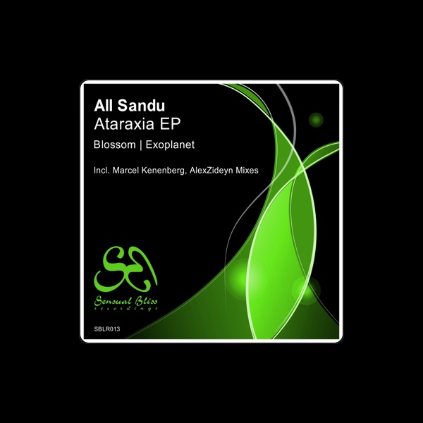 All Sandu's avatar