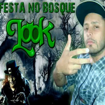 Festa no Bosque (feat. Duck Jay) - Single