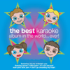 The Best Karaoke Album In the World...Ever! - The New World Orchestra