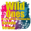 Wild Ones (In the Style of Flo Rida & Sia) [Karaoke Version] - Wild Ones Karaoke