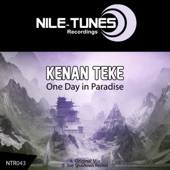 One Day in Paradise artwork