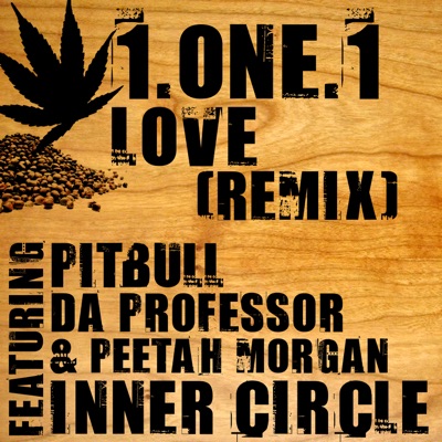 1.One.1 Love (Remix) [feat. Da Professor, Pitbull & Peetah Morgan] - Single