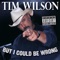 Southern Accents - Tim Wilson lyrics