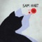 Kitty Song - Sam Hart lyrics