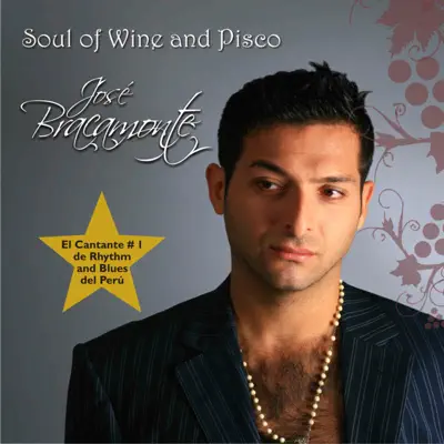 Soul of Wine and Pisco - José Bracamonte