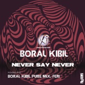 Never Say Never (Feri Remix) artwork