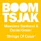 Strings of Cesar (Peter Brown Remix) - Massimo Santucci & Daniel Green lyrics