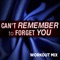 Can't Remember To Forget You (feat. Daja) - Blaze lyrics