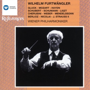 Wilhelm Furtwängler in Wien