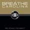 Blackout - Breathe Carolina lyrics