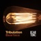 Tribulation - Bearface lyrics
