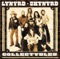 Lynyrd Skynyrd - Need All My Friends