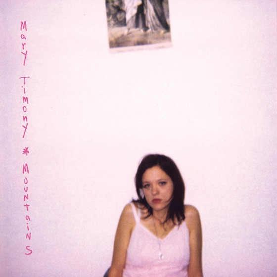 Cover artwork for Painted Horses