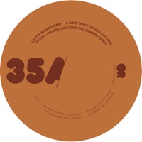 What Do You Say Now - Single - Layo & Bushwacka!