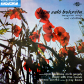 Hortobágyi Halastóban