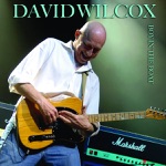 David Wilcox - I Am a Natural Born Lover