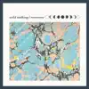 Wild Nothing - Nocturne