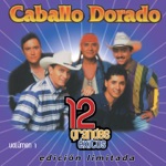 Caballo Dorado - No Rompas Mi Corazón (Achy Breaky Heart)