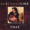 I Like That - David Boswell lyrics
