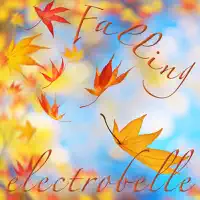 Falling (Reeder's in your heart remix) — Electrobelle