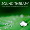 Sound Therapy: Relaxing Sounds For Massage and Quiet Moments, Sleep Music - Various Artists