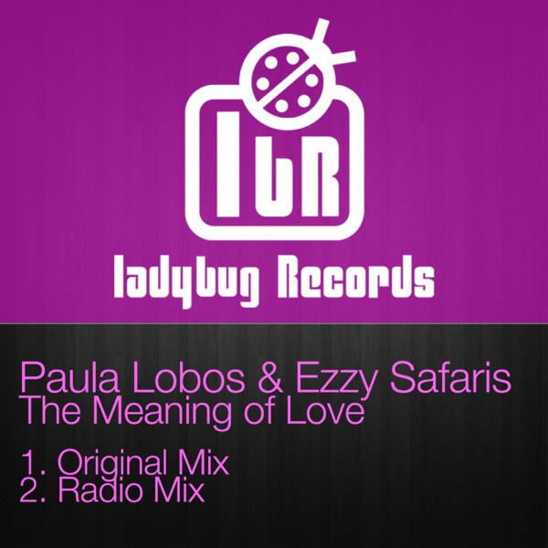 The Meaning of Love - Single