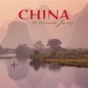 National Cinema Symphony Orchestra - Butterfly Lovers